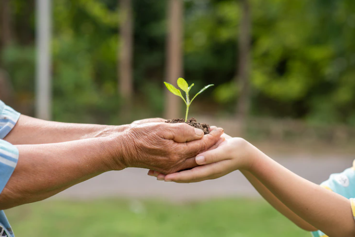 dimensões da sustentabilidade